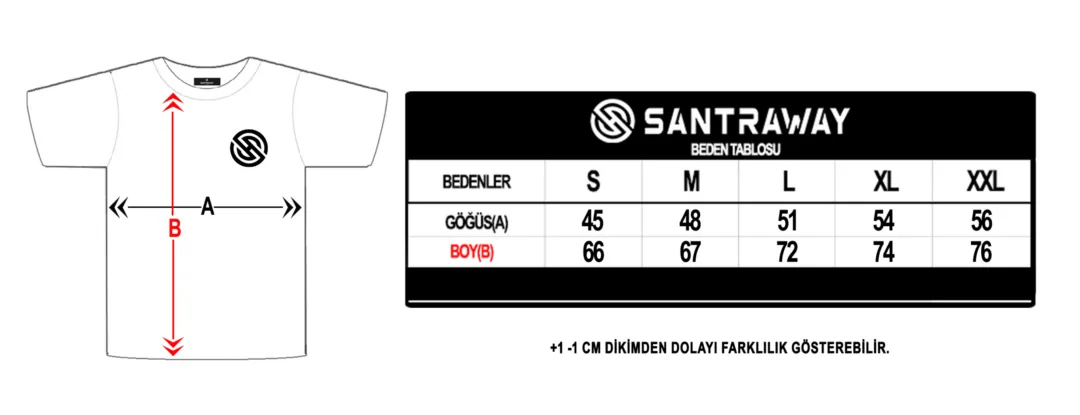 Psg Old Logo T-Shirt - Görsel 4
